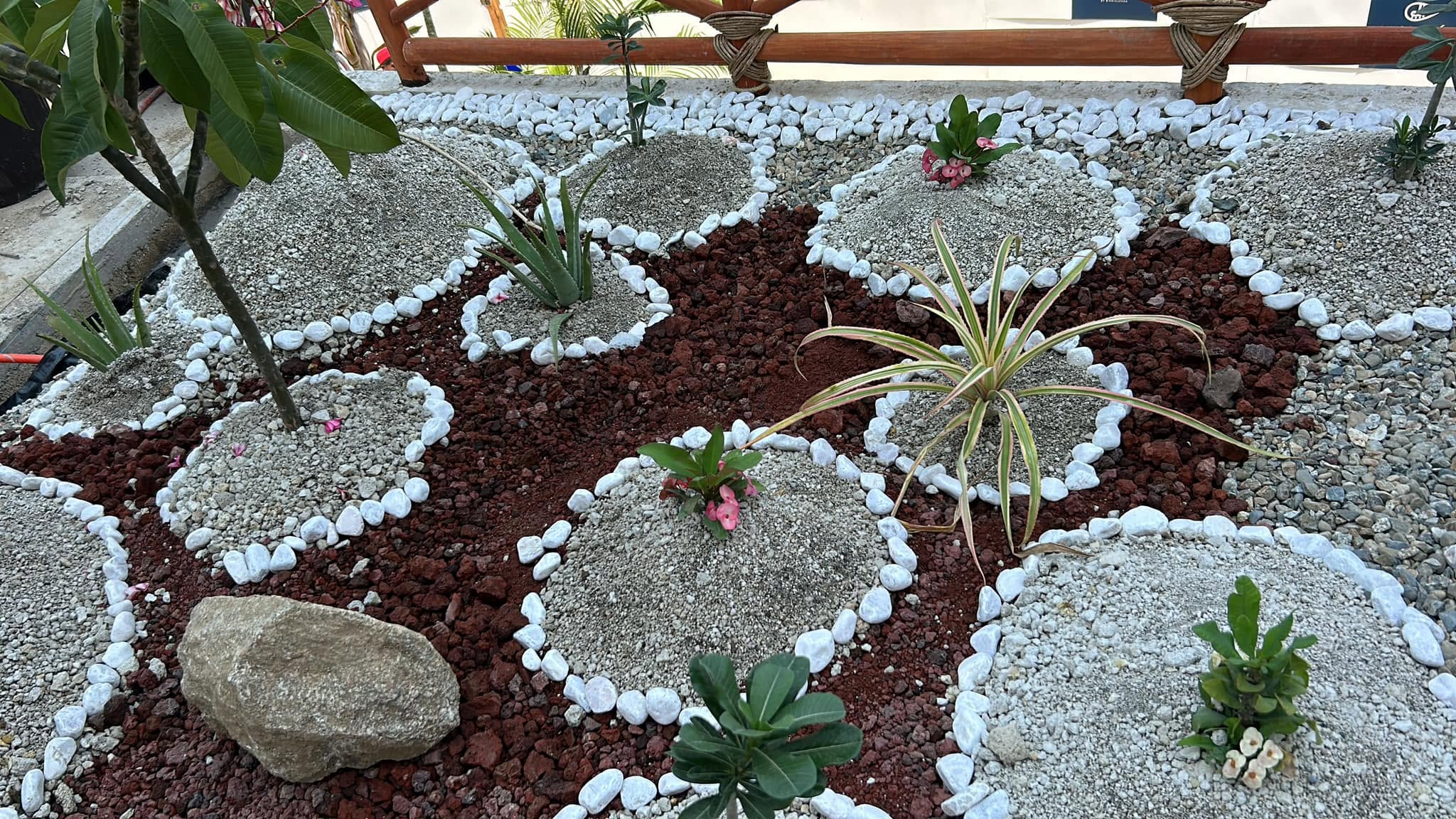 Rocalla con piedra de río blanca, grava volcánica roja, cactus y suculentas